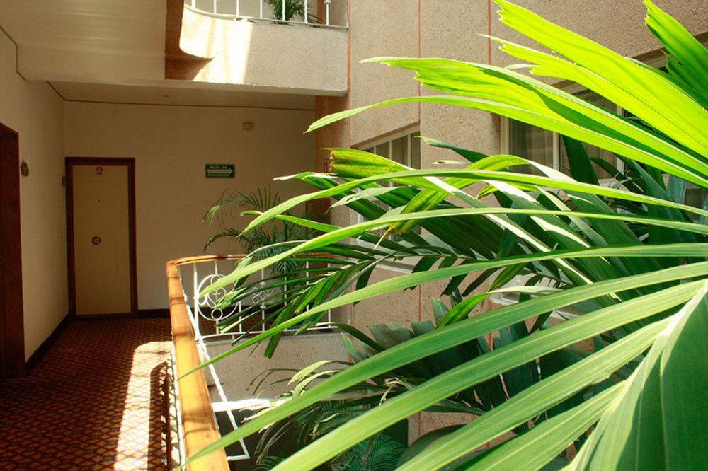 Hotel Mina مدينة مكسيكو المظهر الخارجي الصورة